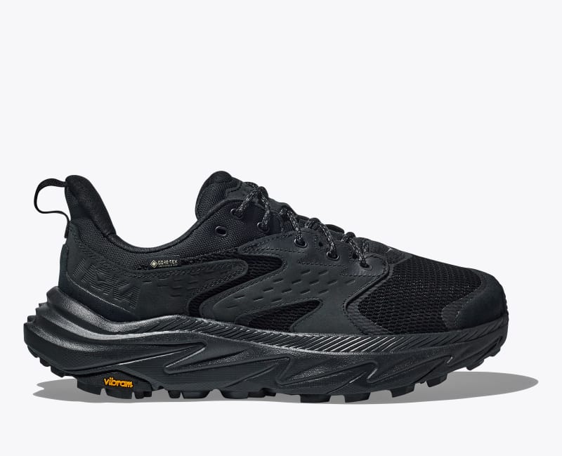 Anacapa 2 Low GTX Shoes