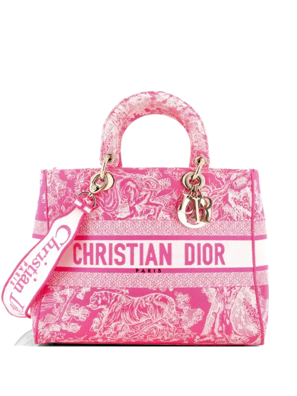 Lady D-Lite Bag Embroidered Canvas Large tote bag -