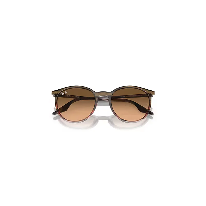 Rb2204 Sunglasses Pink Lenses by Ray-Ban