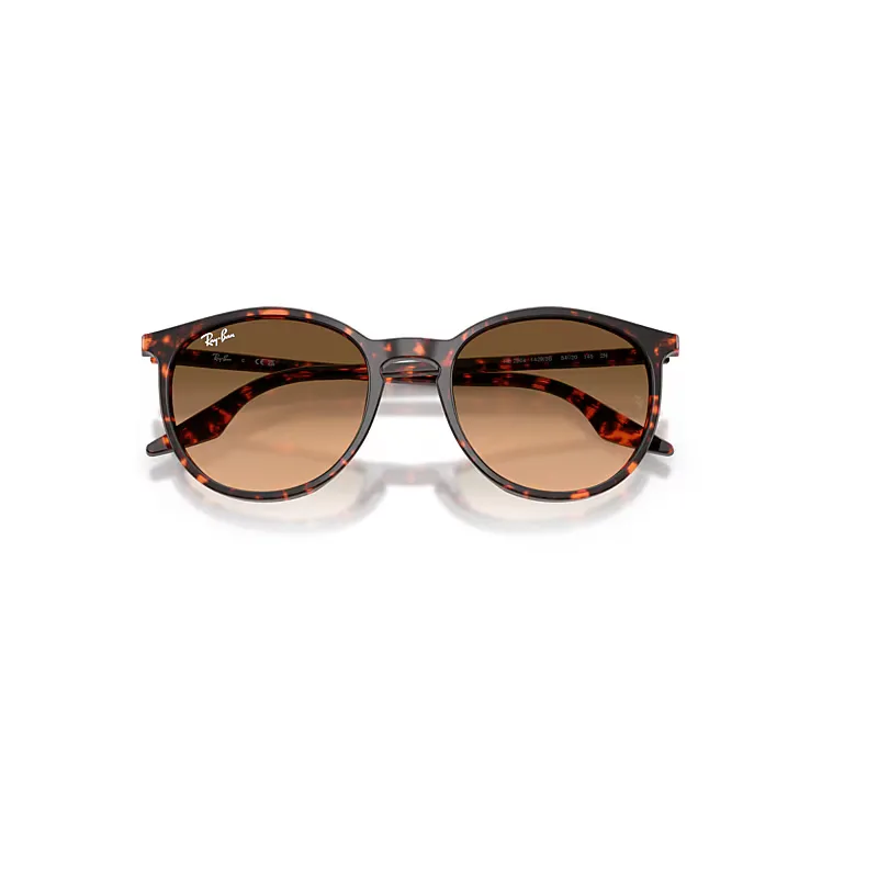 Rb2204 Sunglasses Pink Lenses