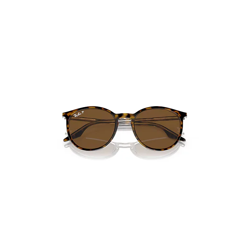 Rb2204 Sunglasses Havana on Transparent Frame Brown Lenses Polarized