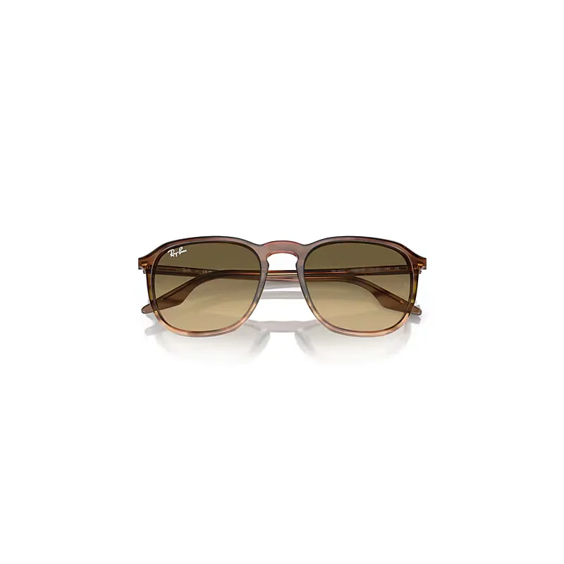 Rb2203 Sunglasses Striped Brown Frame Brown Lenses