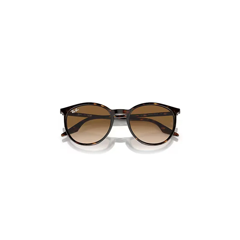 Rb2204 Sunglasses Havana Frame Brown Lenses