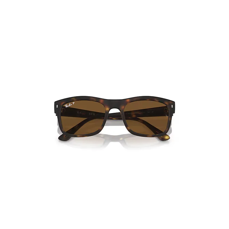 Rb4428 Sunglasses Polarized