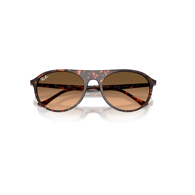 Rb2215 Sunglasses