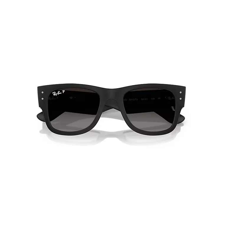 Mega Wayfarer Liteforce Sunglasses Polarized