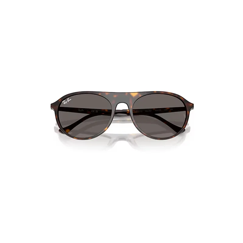Rb2215 Sunglasses