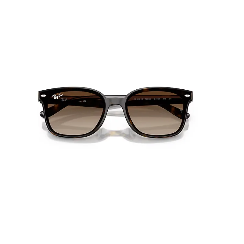 Rb4461d Sunglasses Brown Lenses