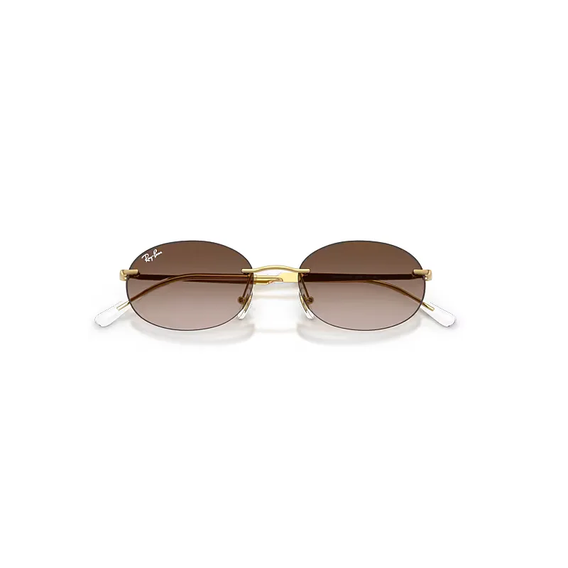 Rb3767 Sunglasses Brown Lenses
