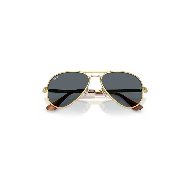 Aviator Max Sunglasses Blue Lenses