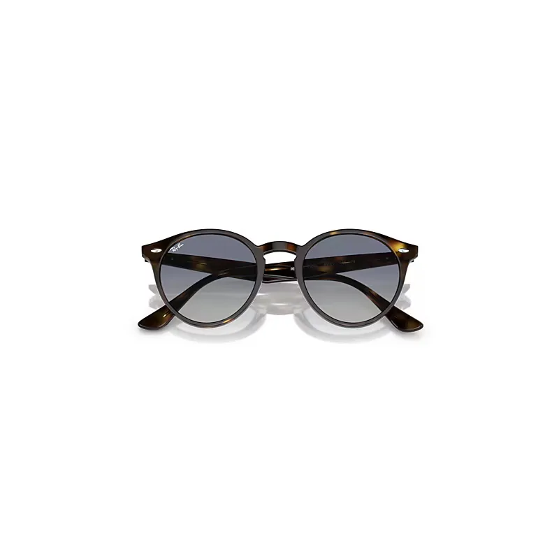 Rb2180 Sunglasses Grey Lenses