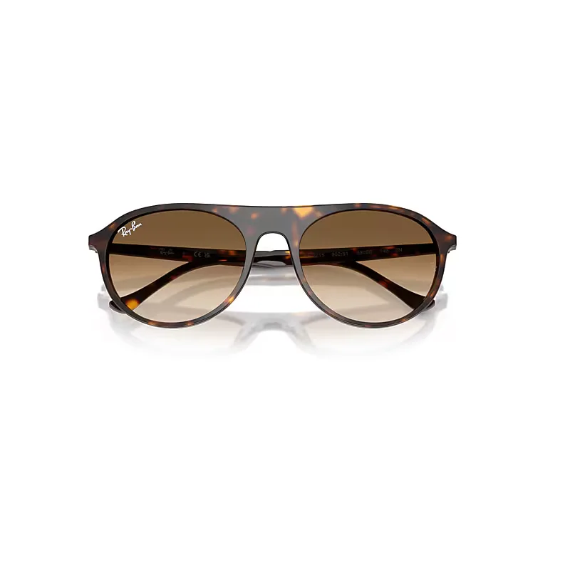 Rb2215 Sunglasses Brown Lenses