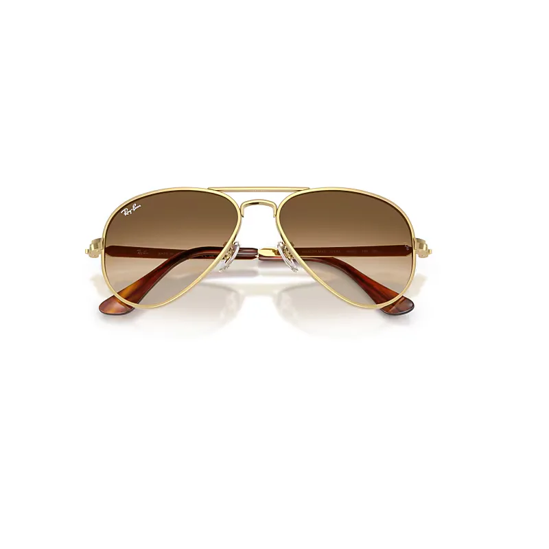 Aviator Max Sunglasses Brown Lenses
