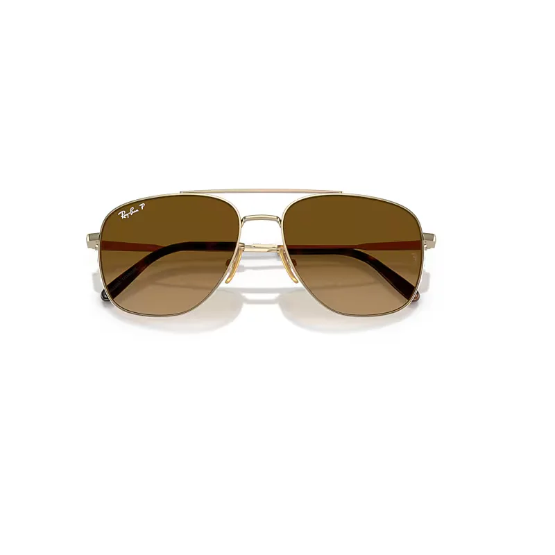 William Titanium Sunglasses Brown Lenses Polarized