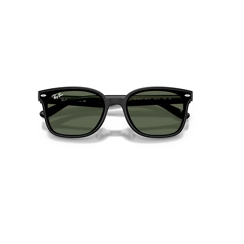 Rb4461d Sunglasses Black Frame Green Lenses