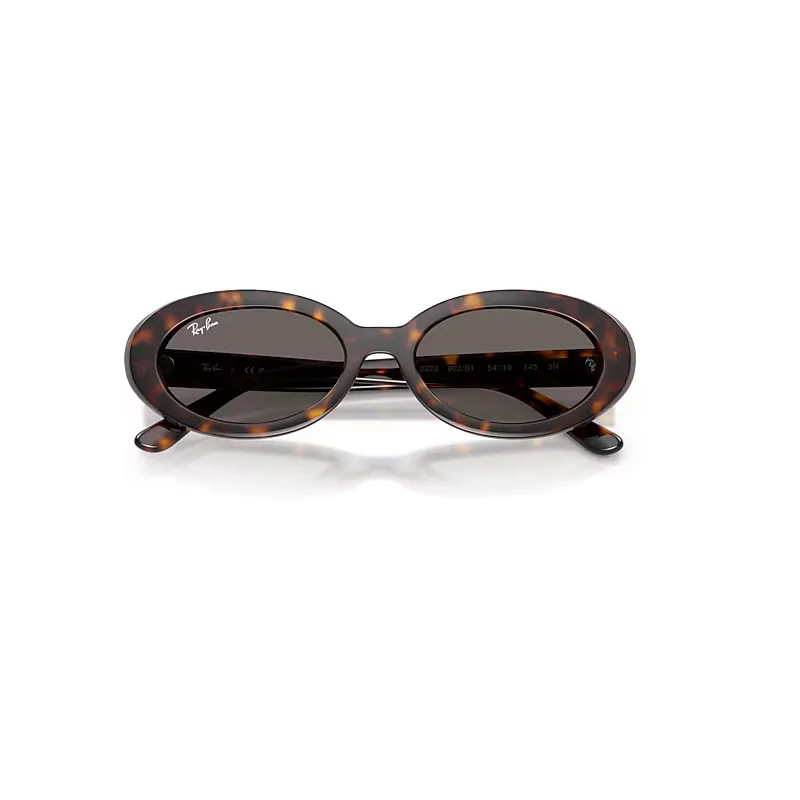 Rb2223 Sunglasses Grey Lenses