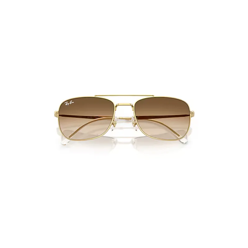 Rb3755 Sunglasses Brown Lenses