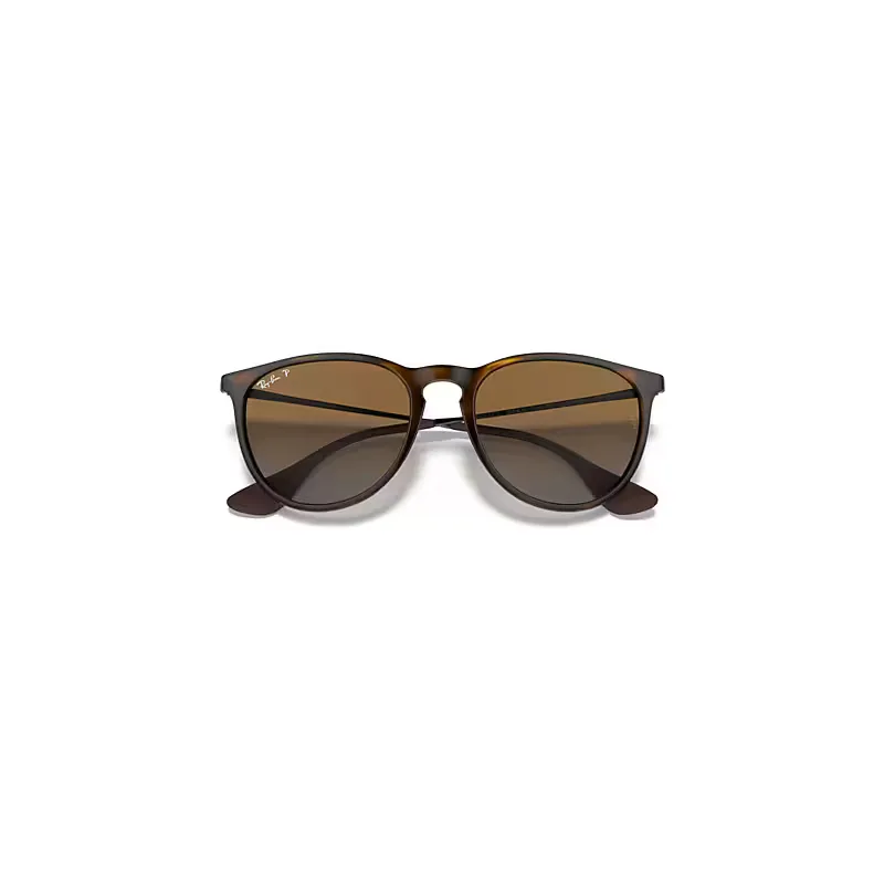 Erika Classic Sunglasses Gunmetal Frame Brown Lenses Polarized