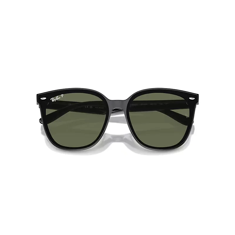 Rb4423d Sunglasses Green Lenses Polarized