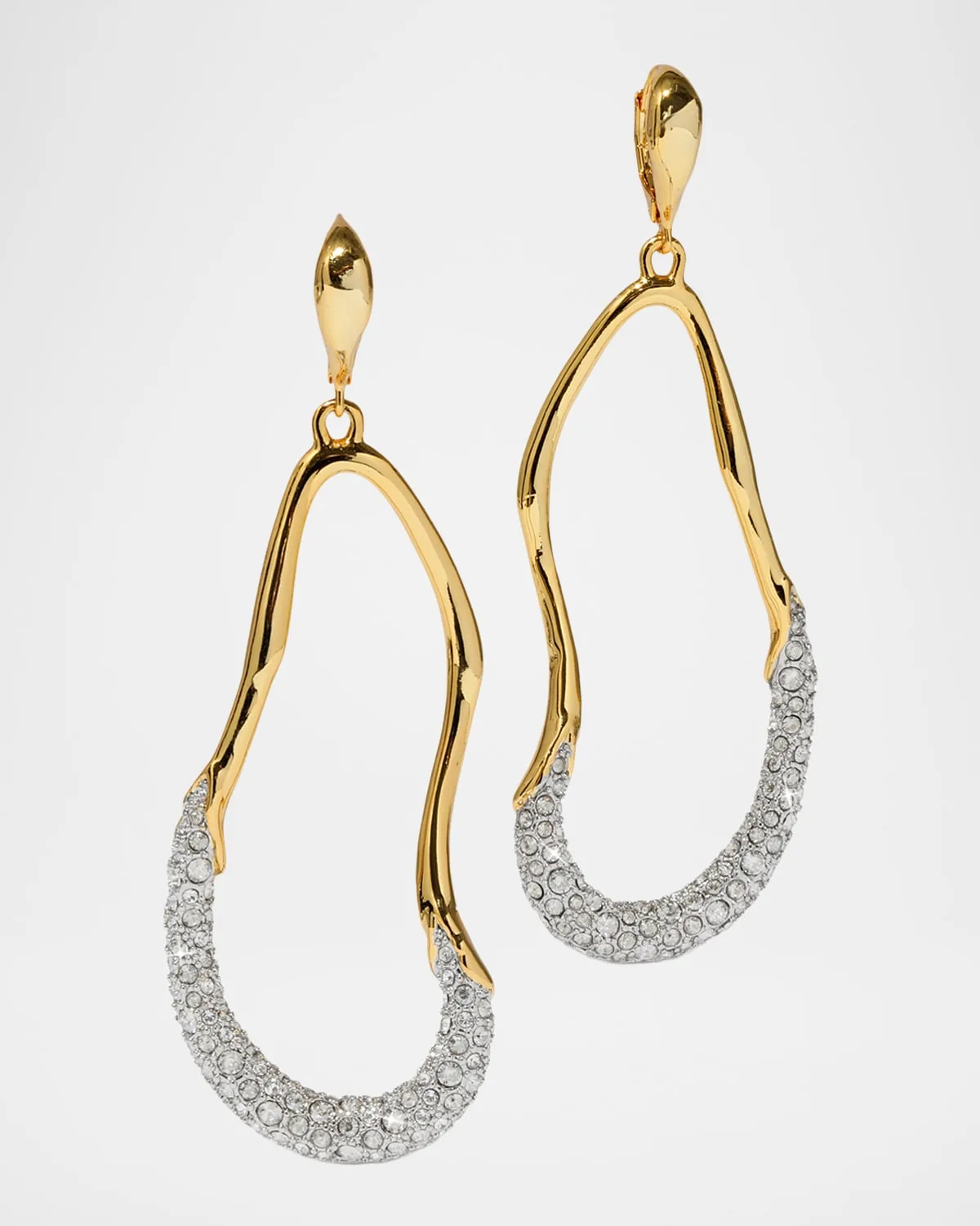 Solanales Crystal Curve Leverback Drop Earrings