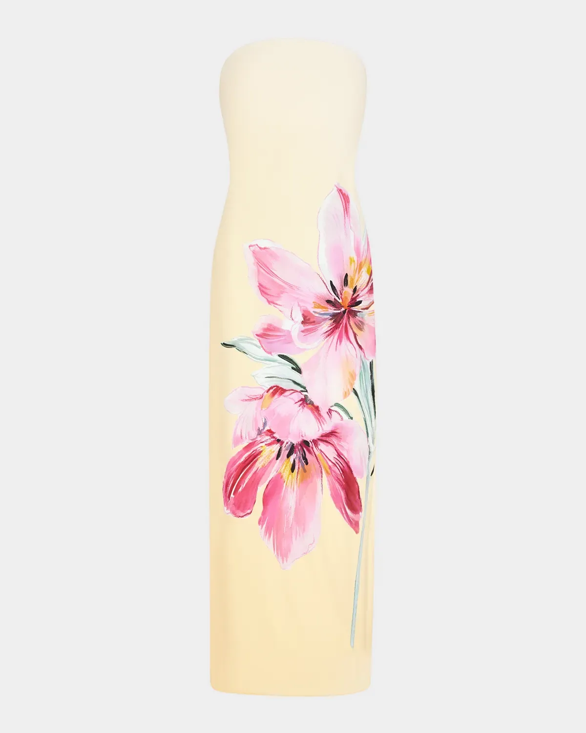 Vera Strapless Floral-Print Maxi Dress