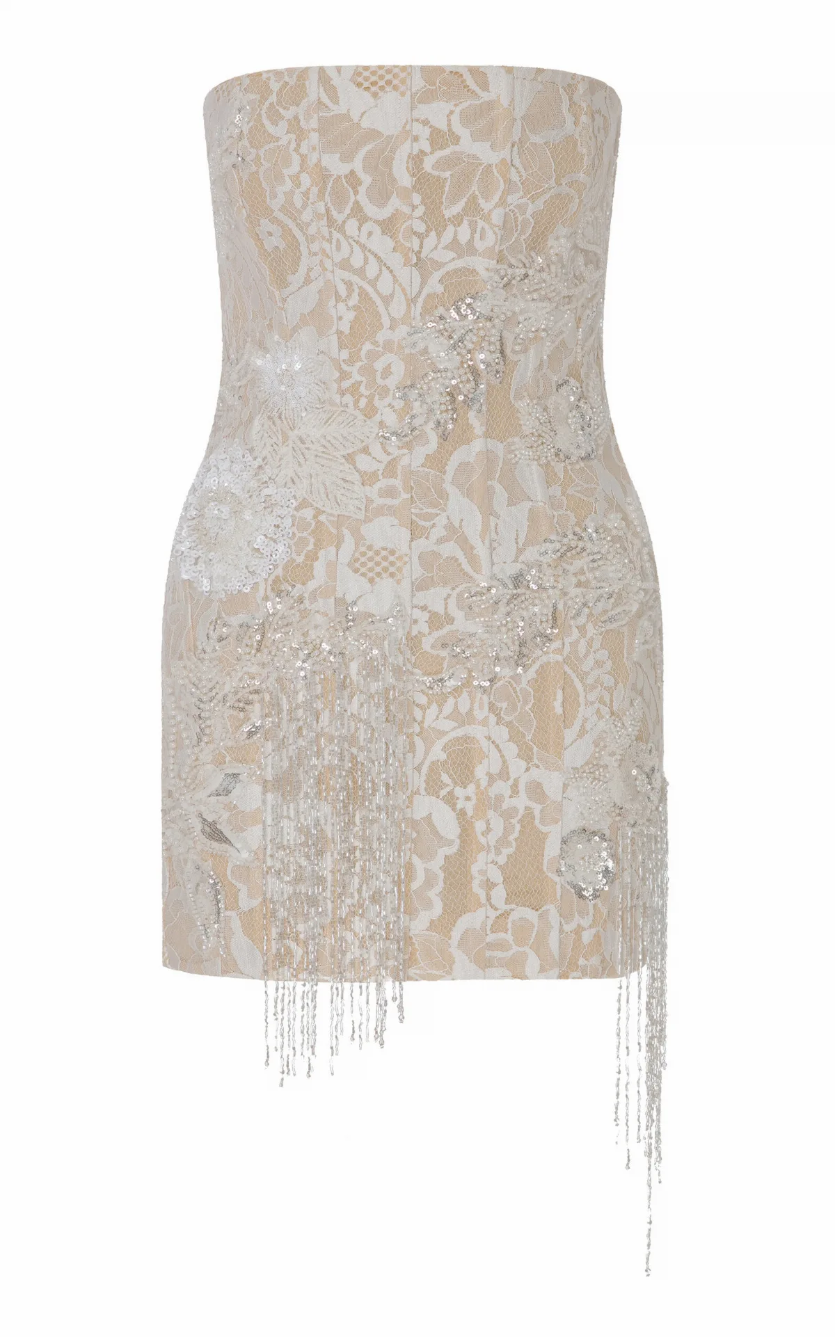 Skye Embellished Lace Mini Dress