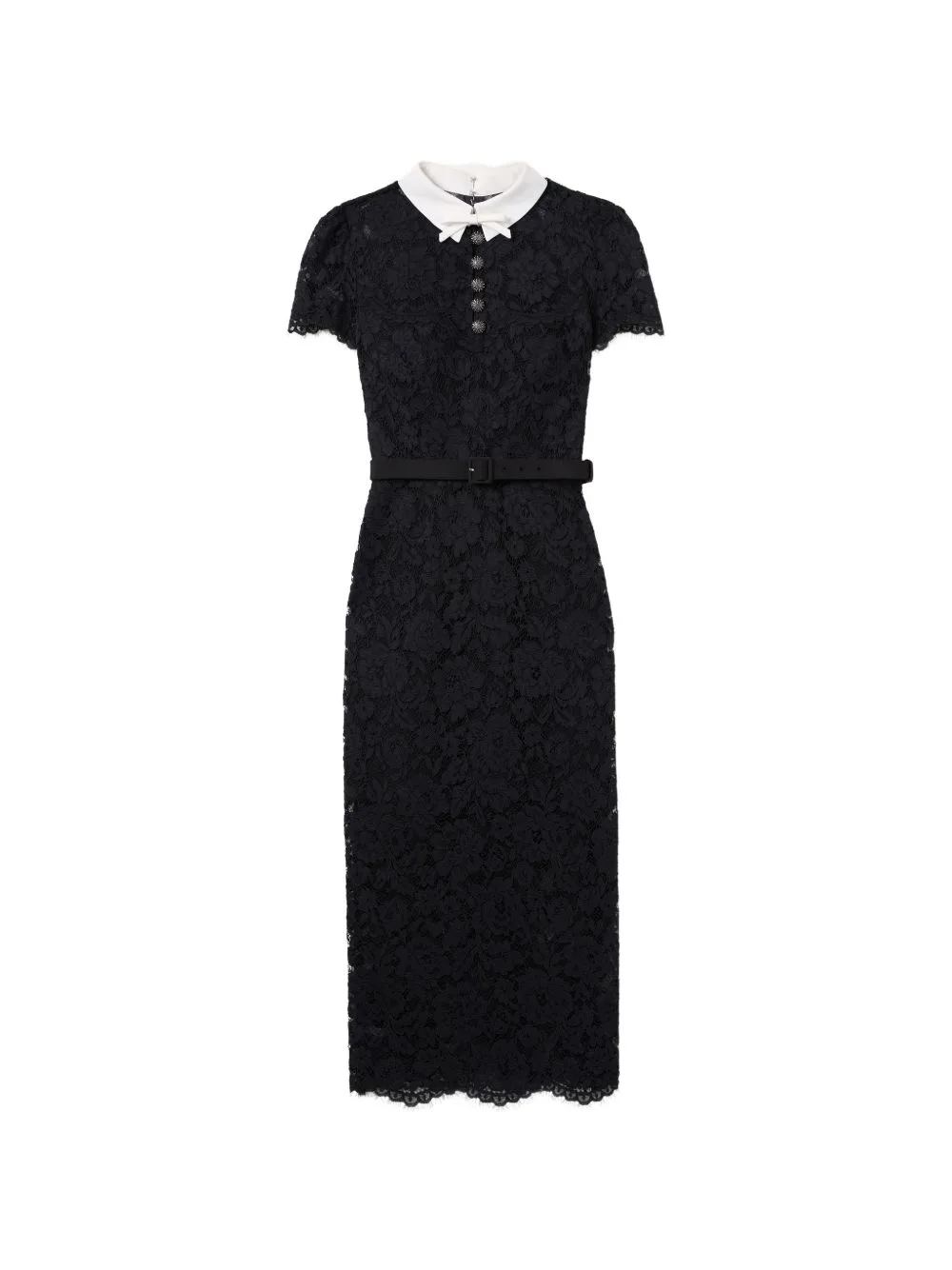 Lace Contrast Collar Midi Dress