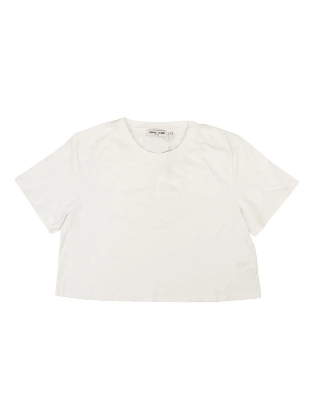 Blank Oc Cropped T-Shirt