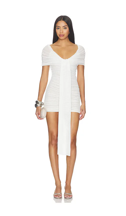 Winslow Mesh Dress by SEROYA