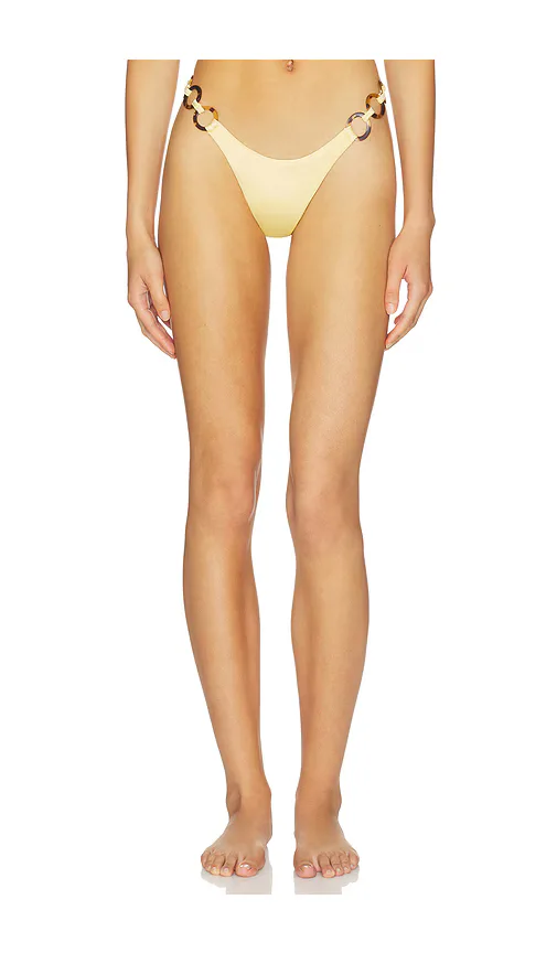 Agua Bendita x Revolve Fungi Bottom