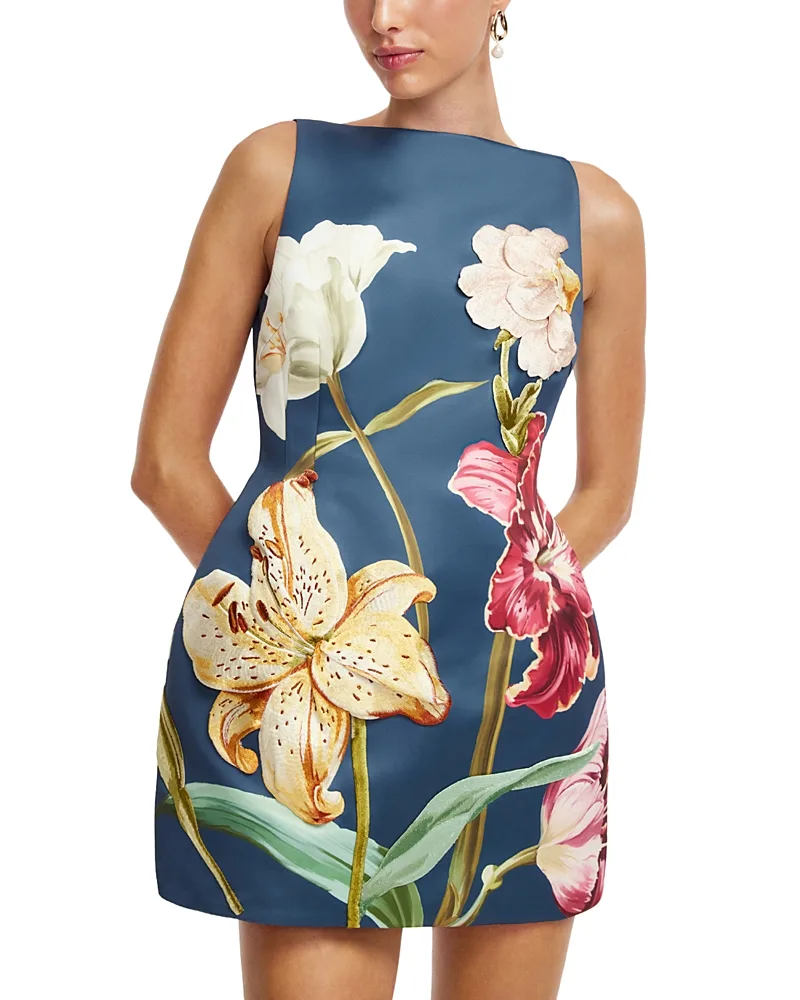 Ali Embroidered Mini Dress by Leo Lin