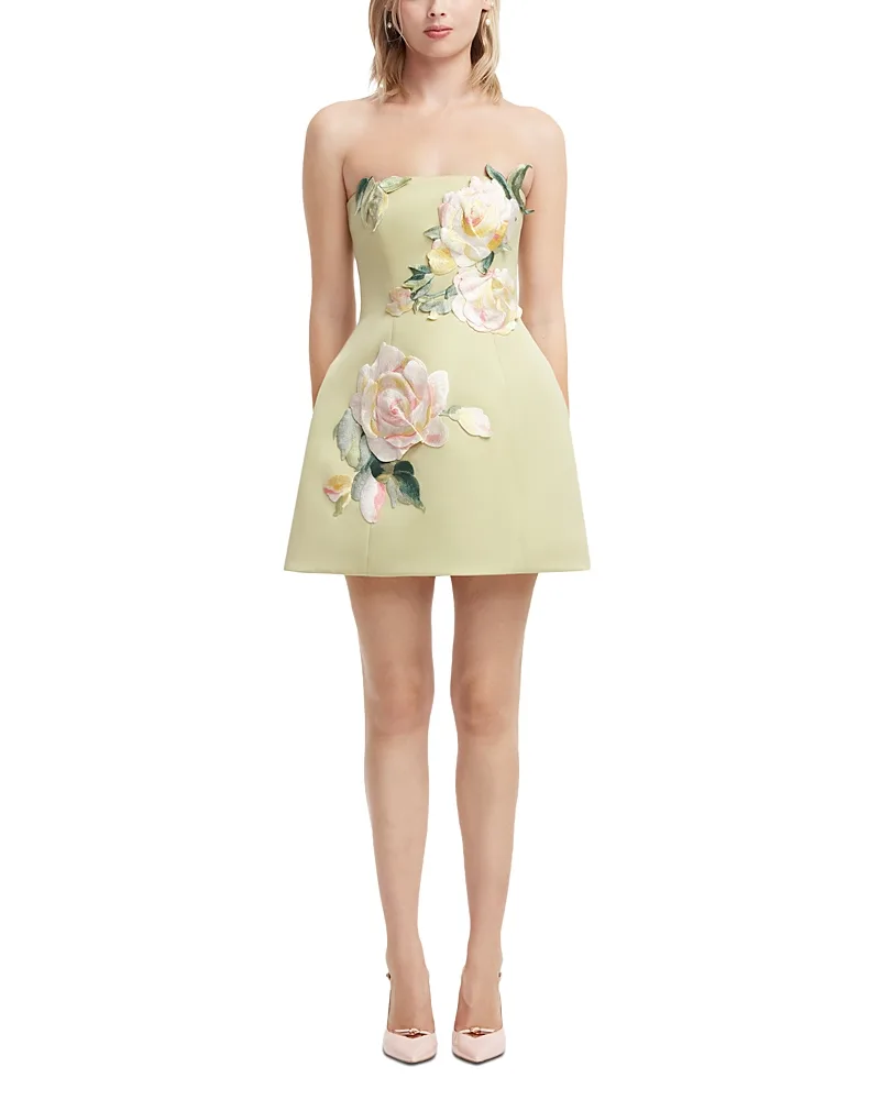 Roselle Embroidered Bustier Mini Dress by Leo Lin