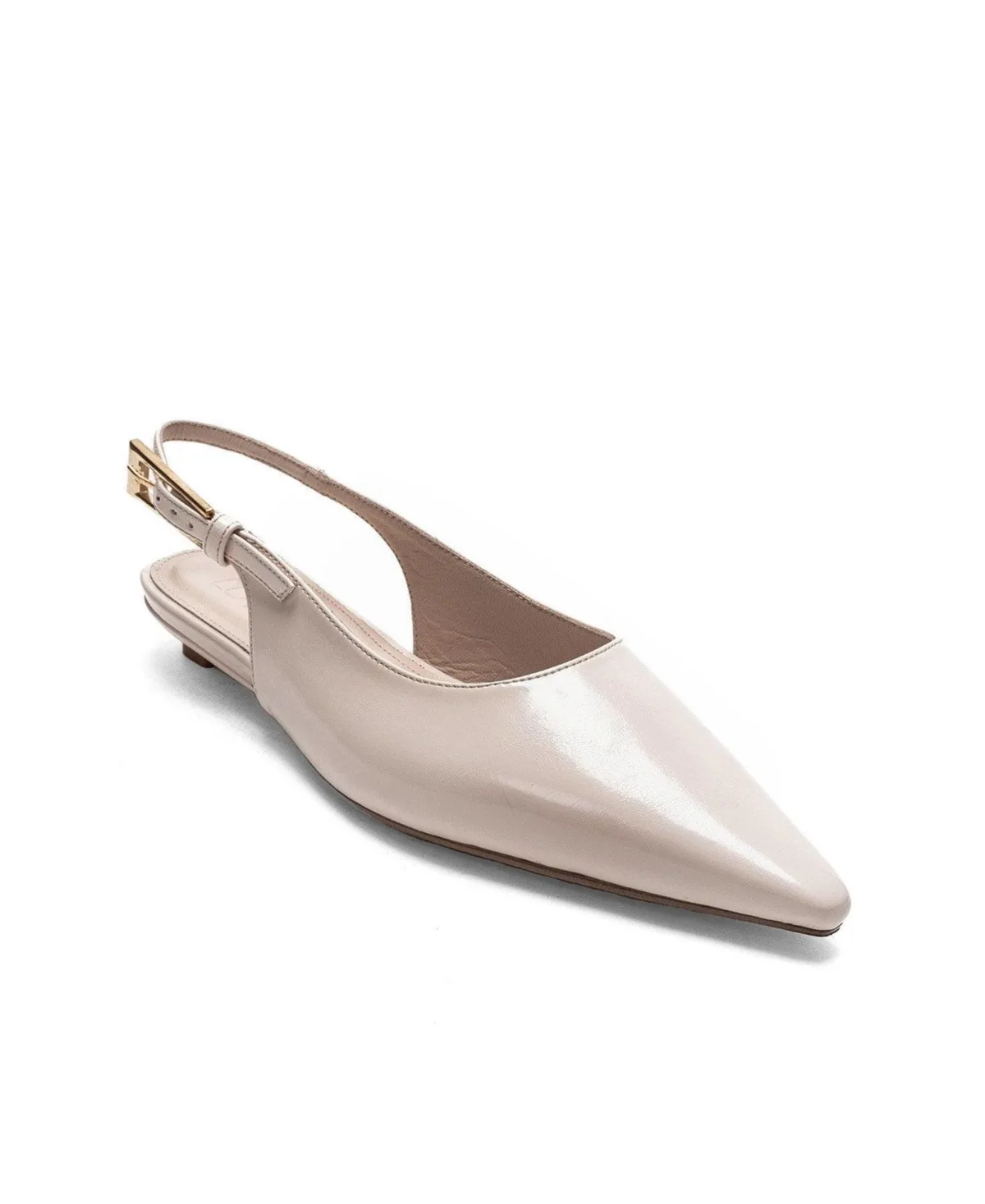 Jenna Slingback Pointed Toe Pump