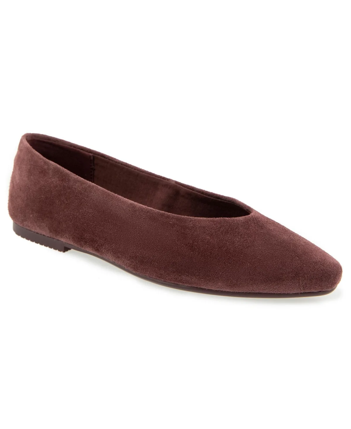 Latouche Pointed Toe Ballet Flat by Splendid