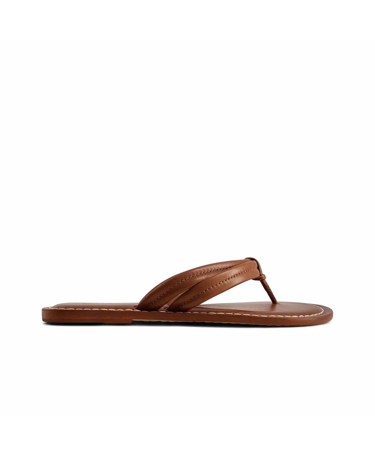 Miami Thong Sandal by Bernardo Footwear