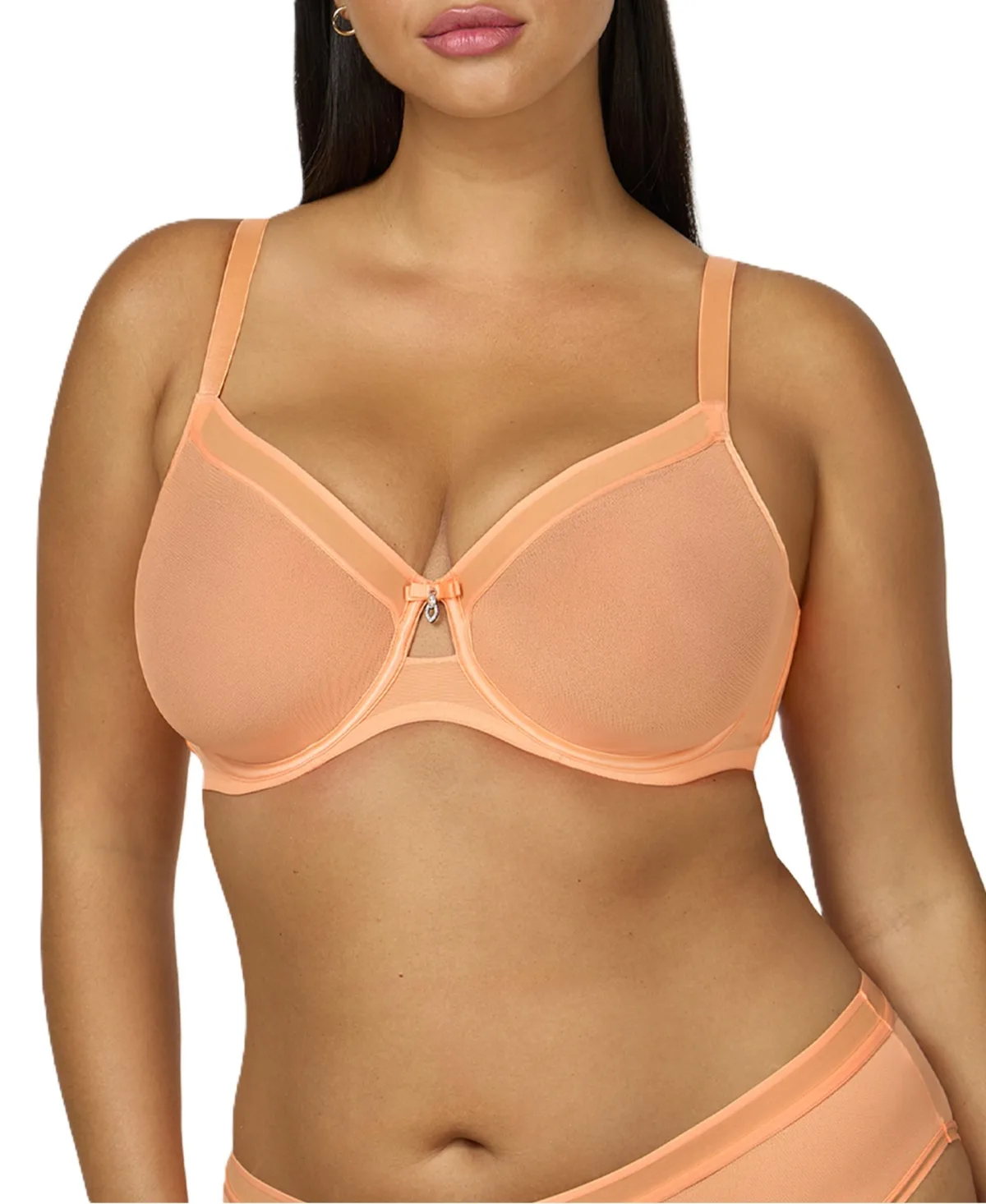 Sheer Mesh Full Coverage Unlined Underwire Bra by Curvy Couture