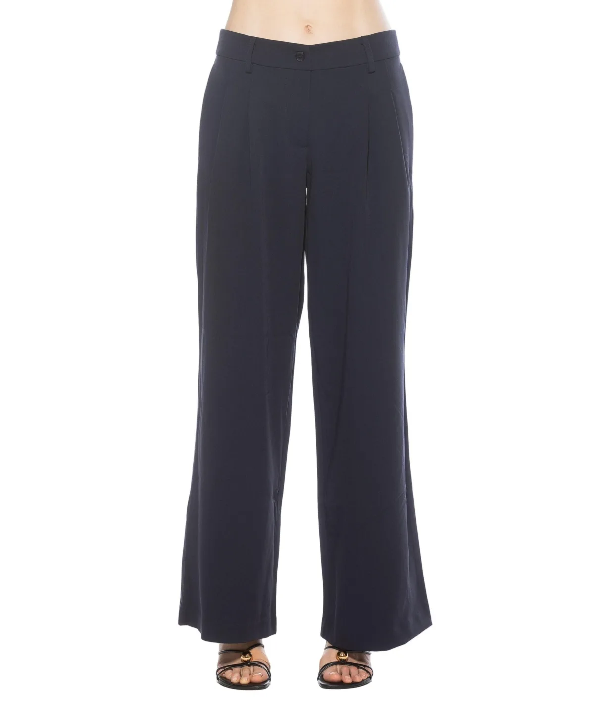 Quinn Pleated Wide Leg Pants by Alexia Admor