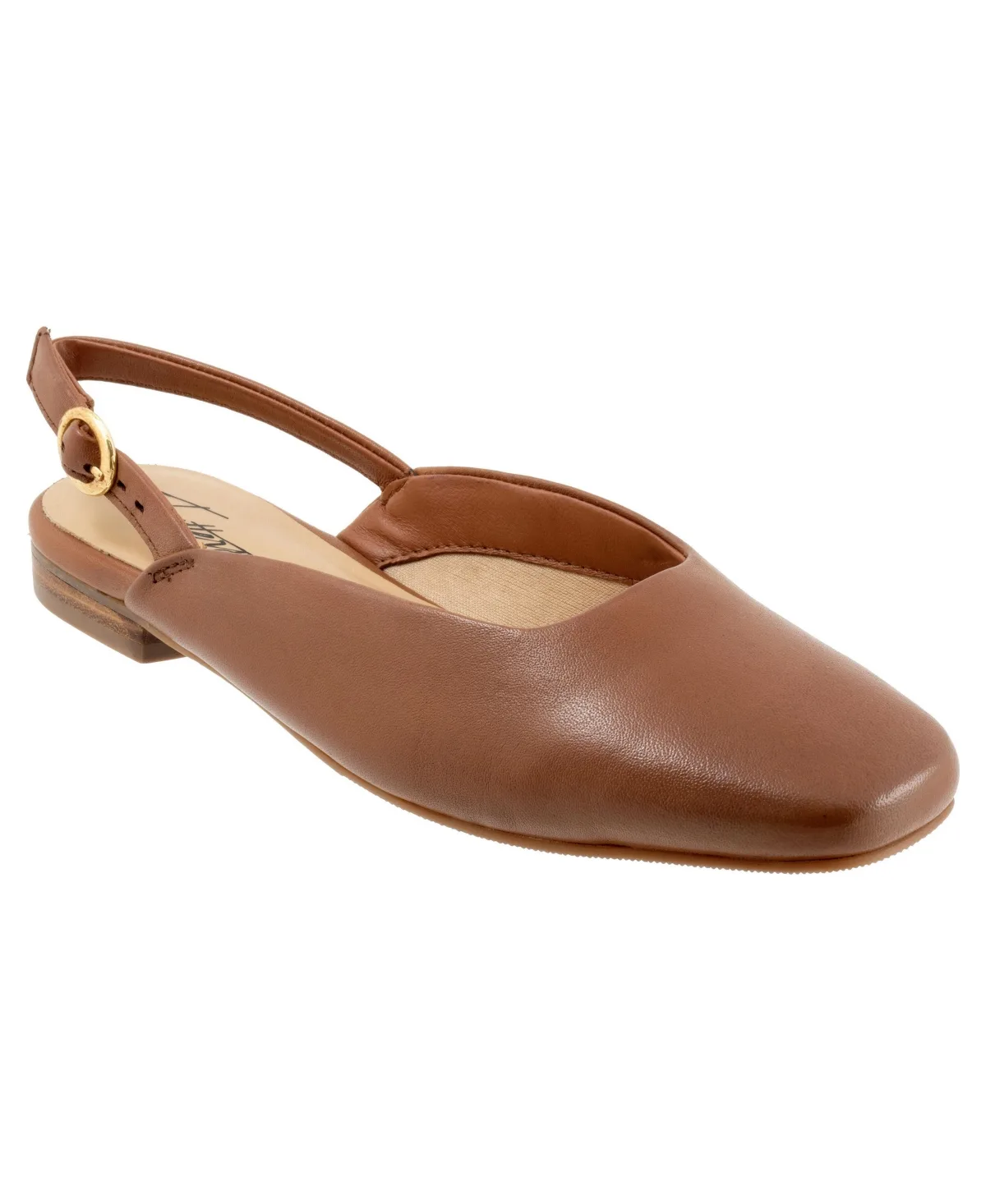 Holly Flat by Trotters