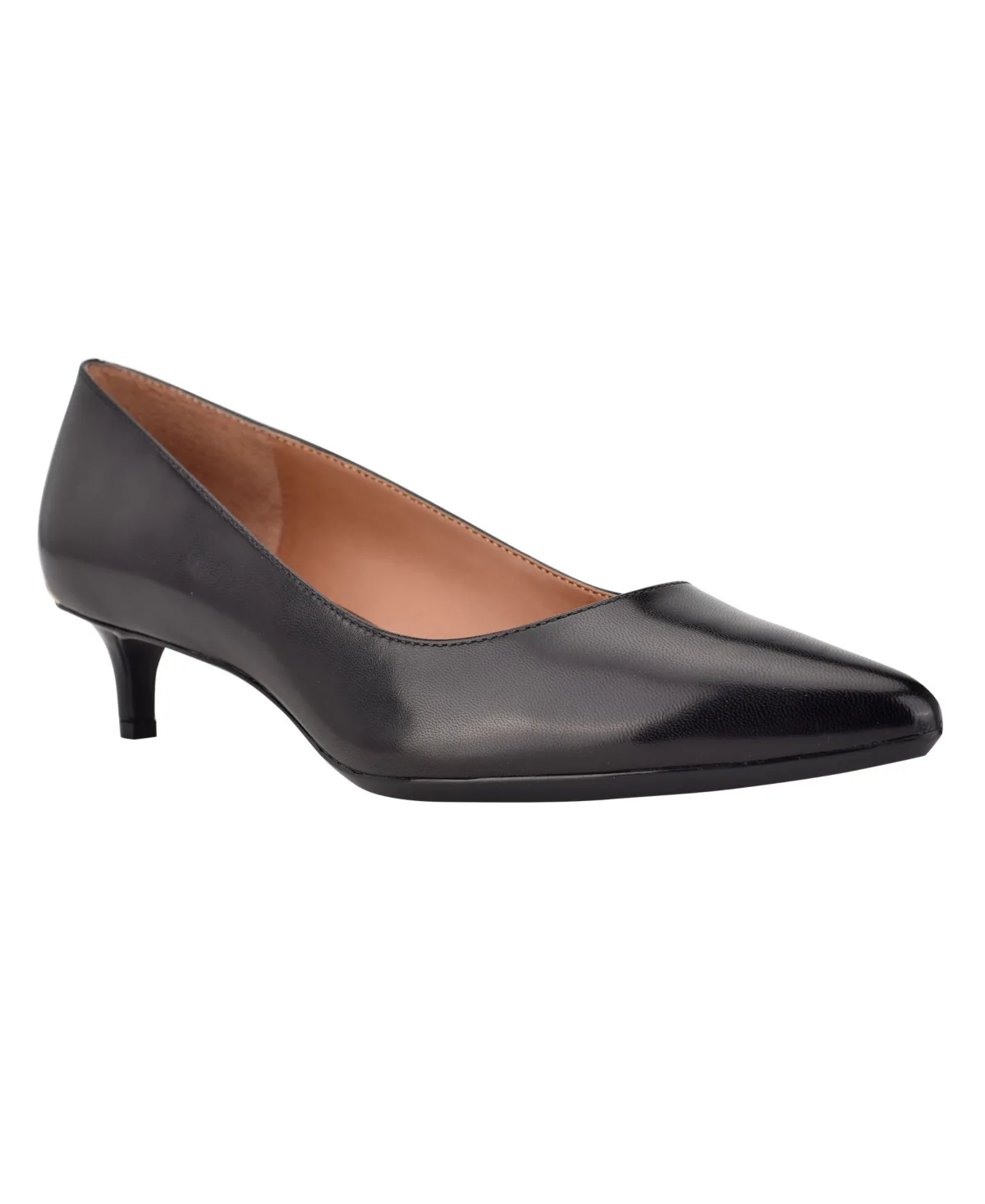Gabrianna Pointed Toe Kitten Heel Pumps by Calvin Klein