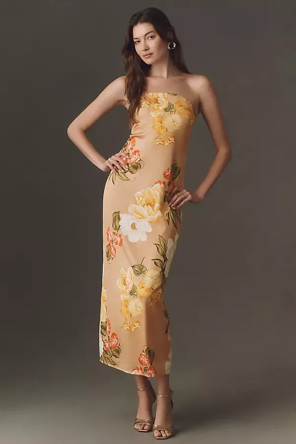Hutch Elena Maxi Dress by Anthropologie