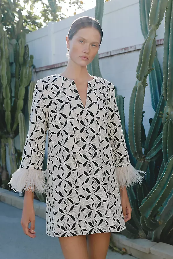 Feather-Pointed Mini Dress by English Factory