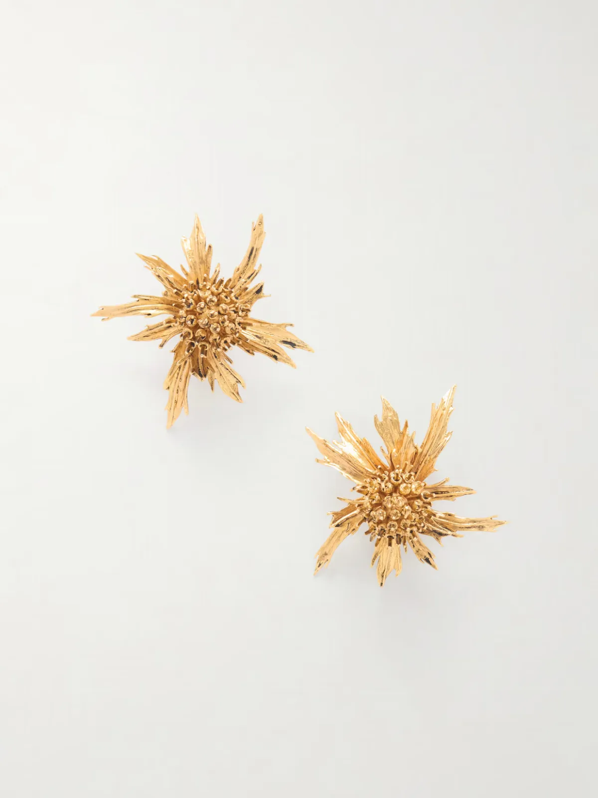Chardon Gold-Tone Clip Earrings