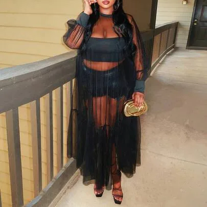 Sheer Solid Loose A-Line Dress by Enliva