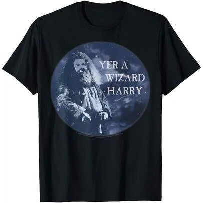 Harry Potter Hagrid Yer a Wizard Harry Circle T-Shirt by SHEIN