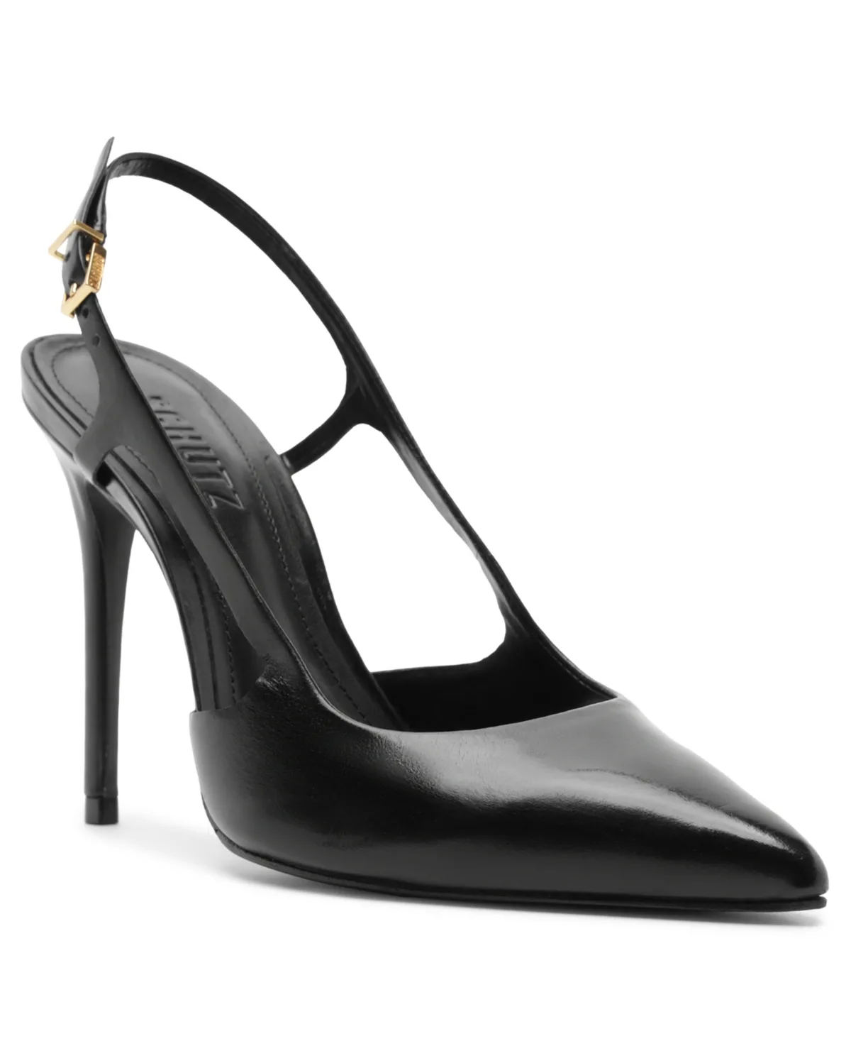 Boris Pointed Toe Pumps by Schutz