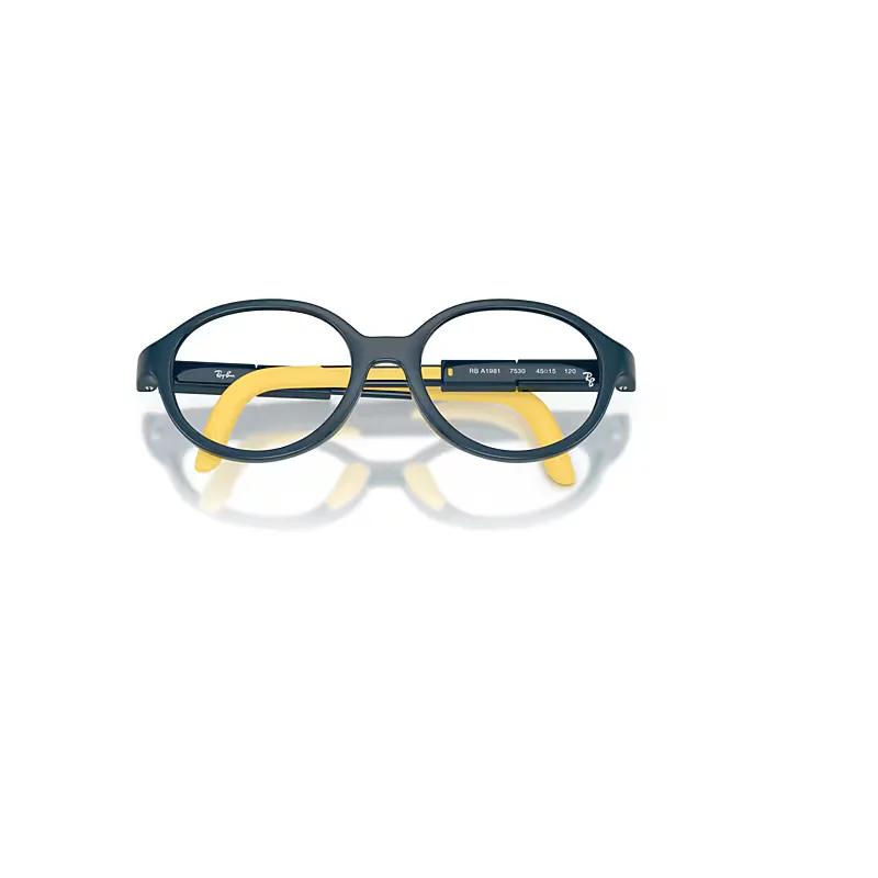 Rba1981 Optics Bio-Based Eyeglasses Polarized by Ray-Ban