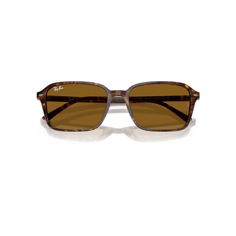 Raimond Sunglasses by Ray-Ban