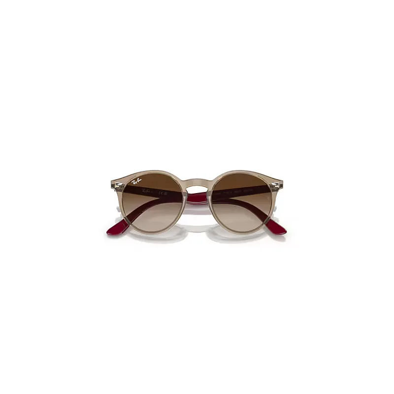 Rb9064s Sunglasses by Ray-Ban