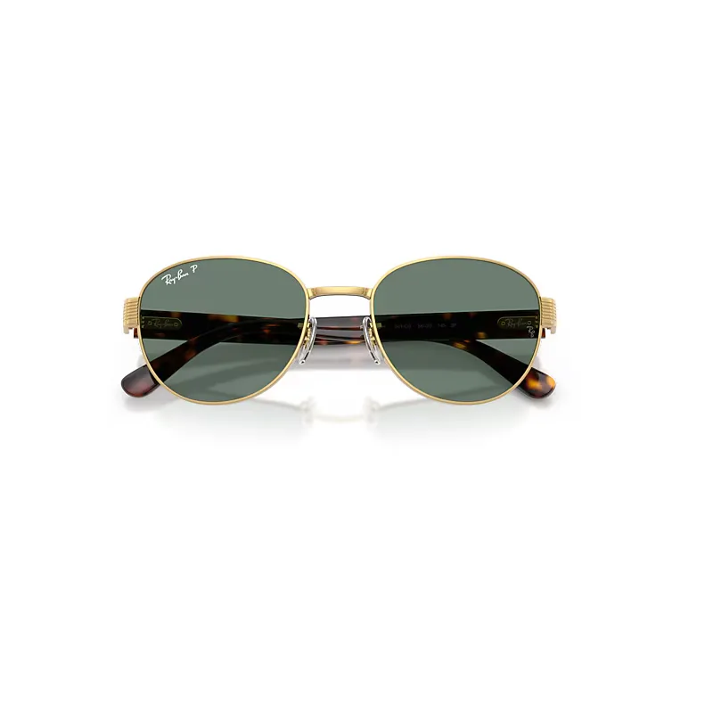 Rb3766 Polarized+ Lenses Sunglasses Polarized by Ray-Ban