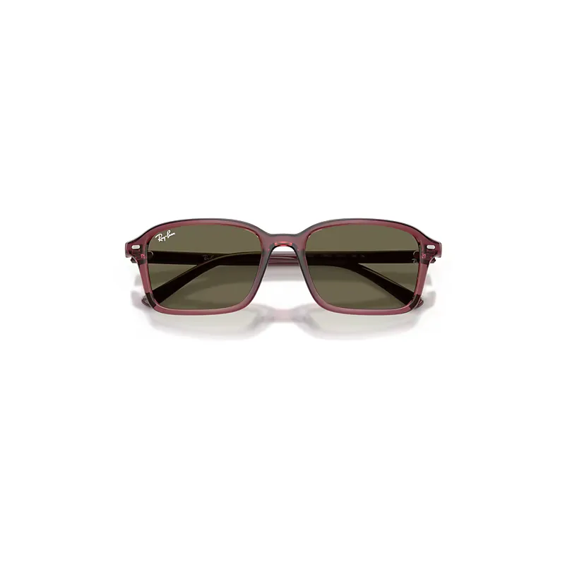 Rb9131s Sunglasses Brown Lenses by Ray-Ban
